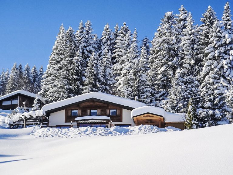 The Schatzie | Boeken bij Flickmyhouse