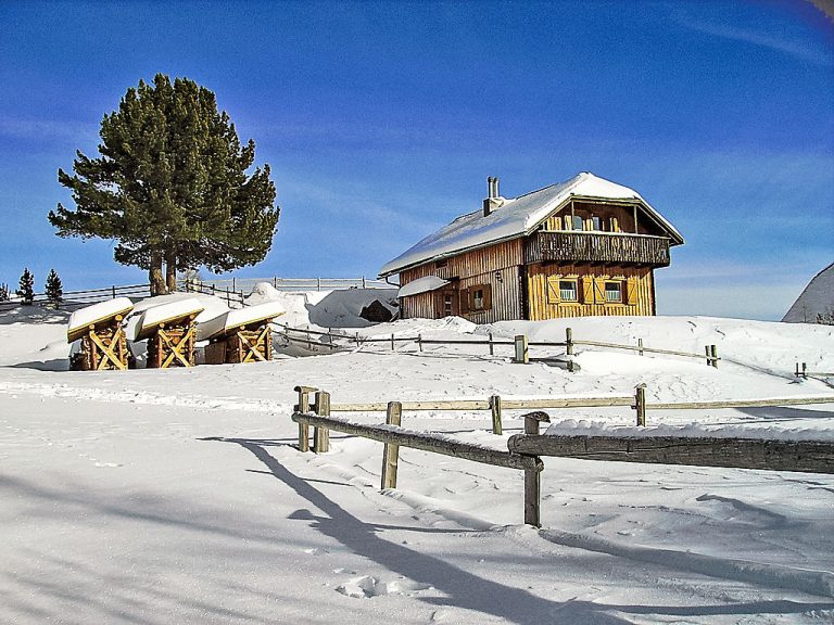 Weissmann | Boeken bij Flickmyhouse