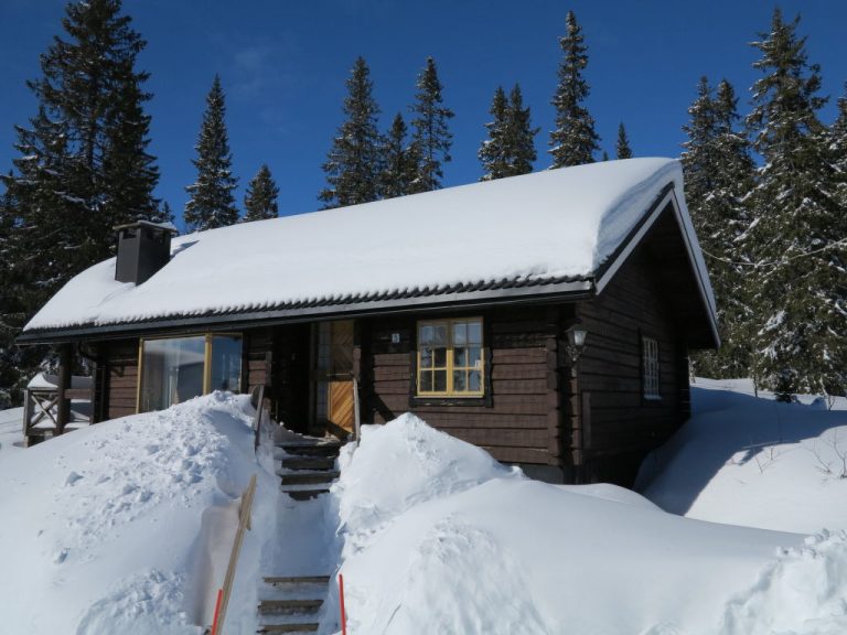 Korpstigen Älgen | Boeken bij Flickmyhouse