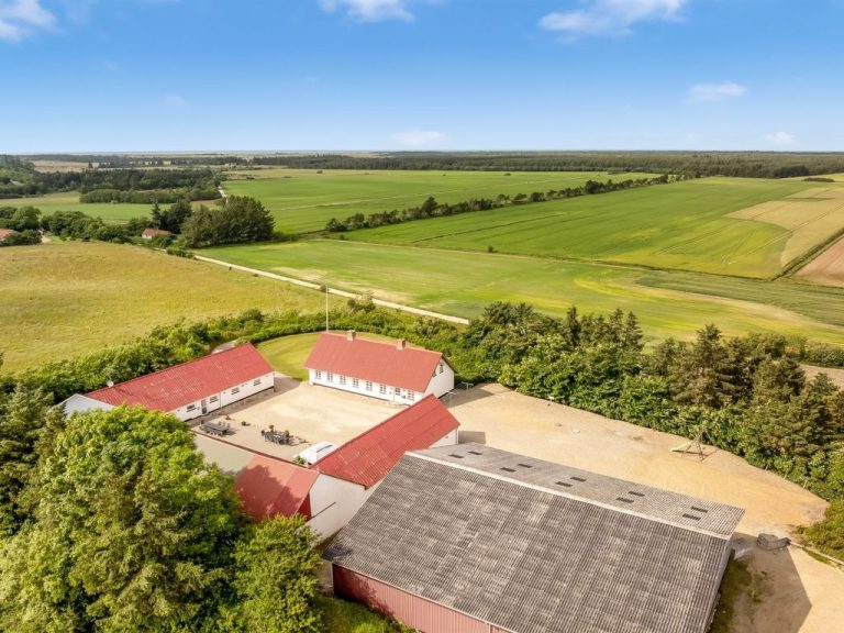 "Sune" - 6km from the sea | Boeken bij Flickmyhouse