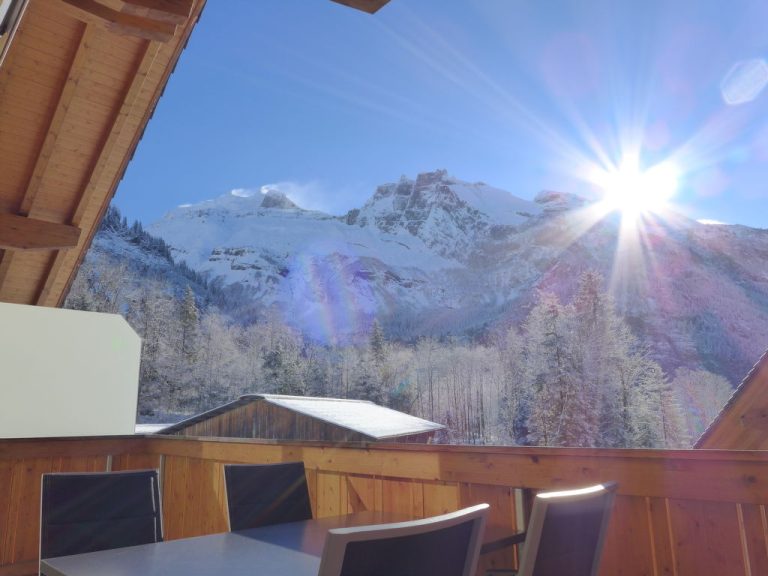 Momento | Boeken bij Flickmyhouse