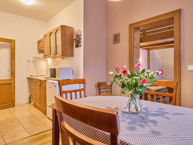 Stříbrný pramen | Boeken bij Flickmyhouse