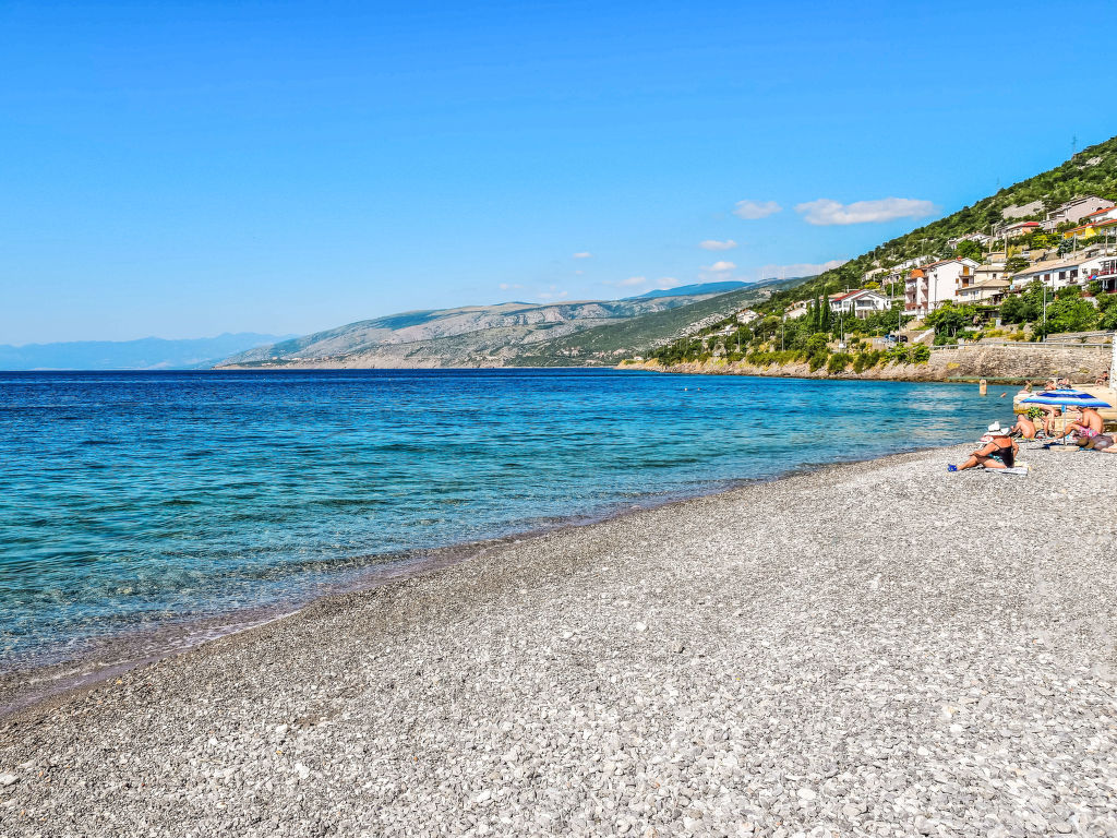 Branko | Boeken bij Flickmyhouse