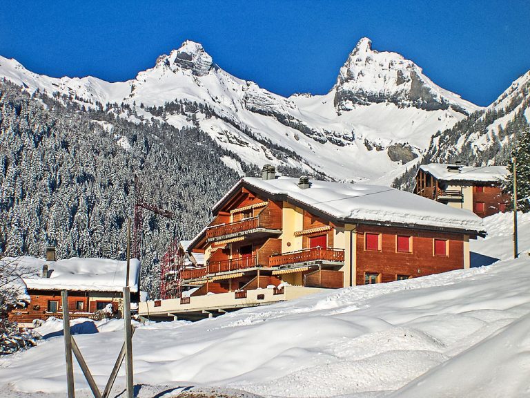 Caroubier 2 | Boeken bij Flickmyhouse