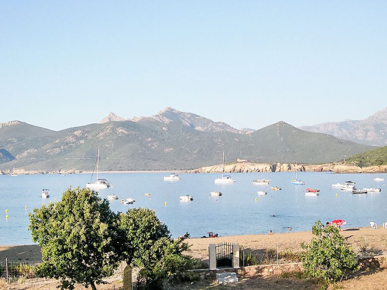 Fidiamare | Boeken bij Flickmyhouse