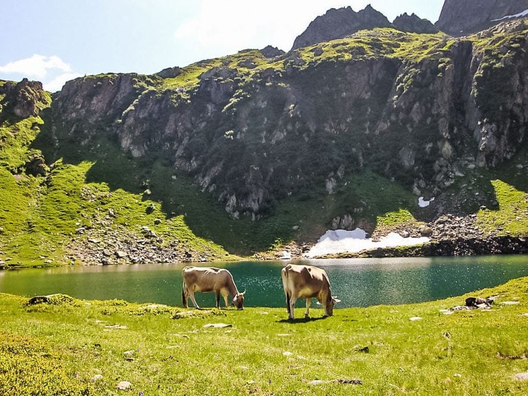 Strecce 2 | Boeken bij Flickmyhouse