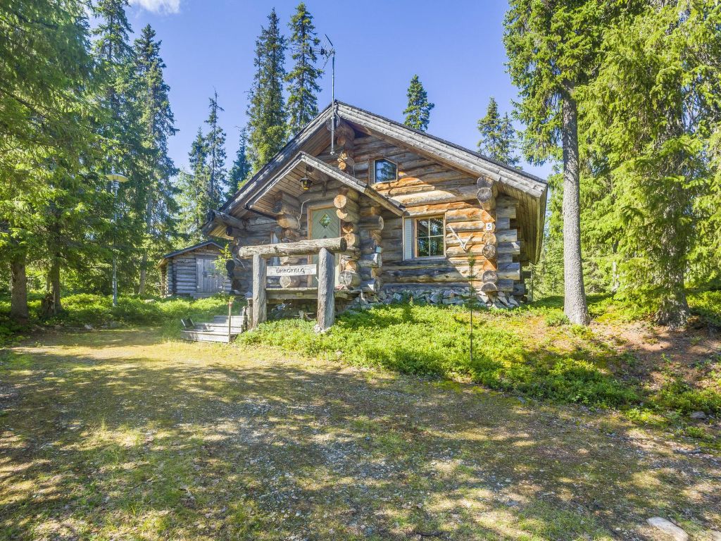 Ukkokelo | Boeken bij Flickmyhouse