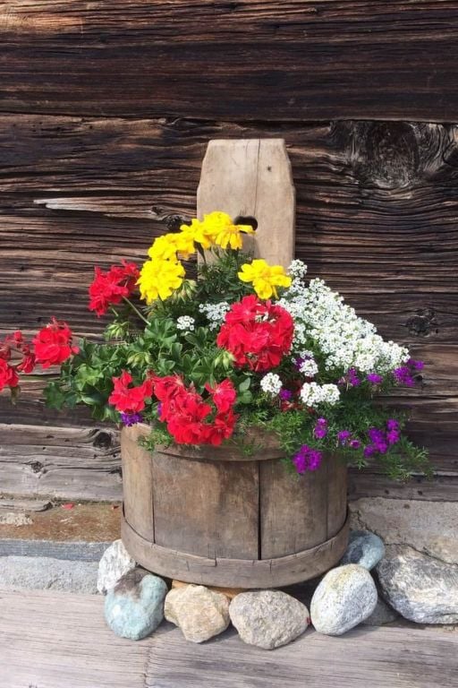 Antrona | Boeken bij Flickmyhouse