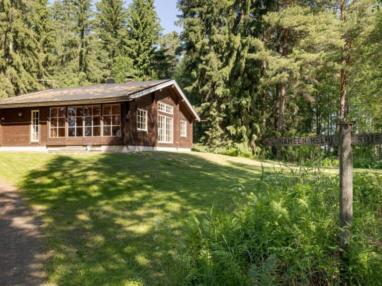 Hämeenhelmi | Boeken bij Flickmyhouse