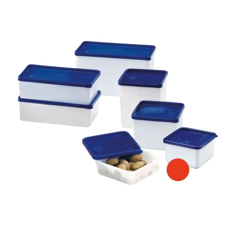 Westmark Diepvriesdozen 0.5L 4 Stuks Blauw/Wit | Kopen bij Flickmyhouse