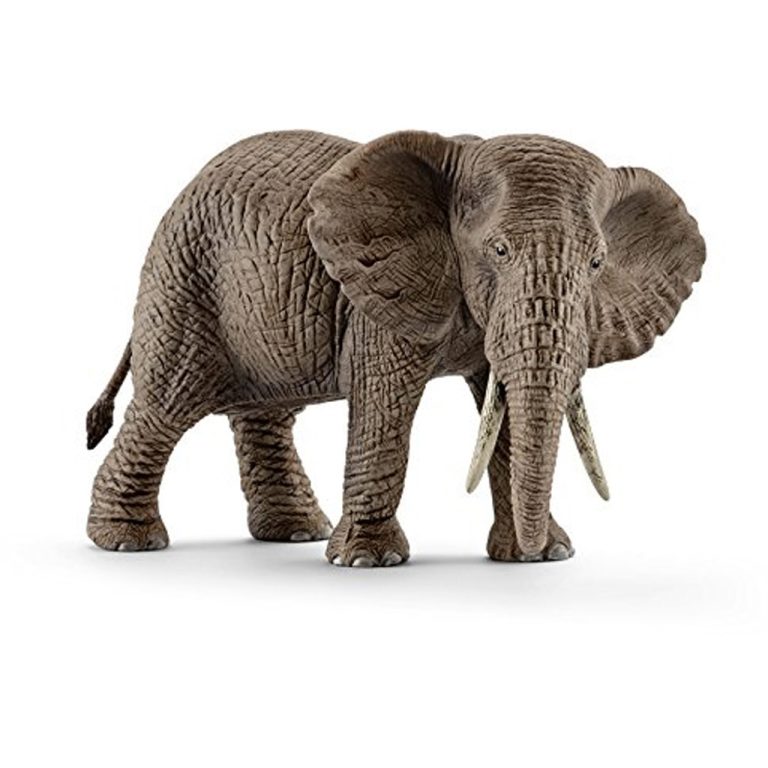 Schleich Afrikaans Olifant Vrouwtje | Kopen bij Flickmyhouse