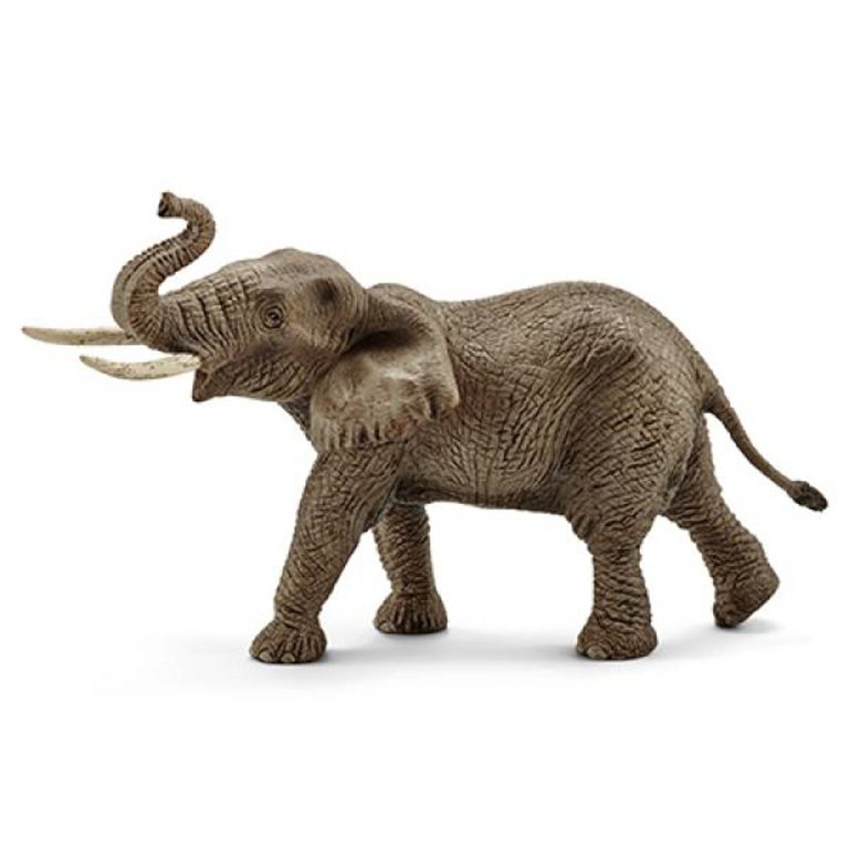 Schleich Speelfiguur Afrikaans Olifant Mannetje | Kopen bij Flickmyhouse