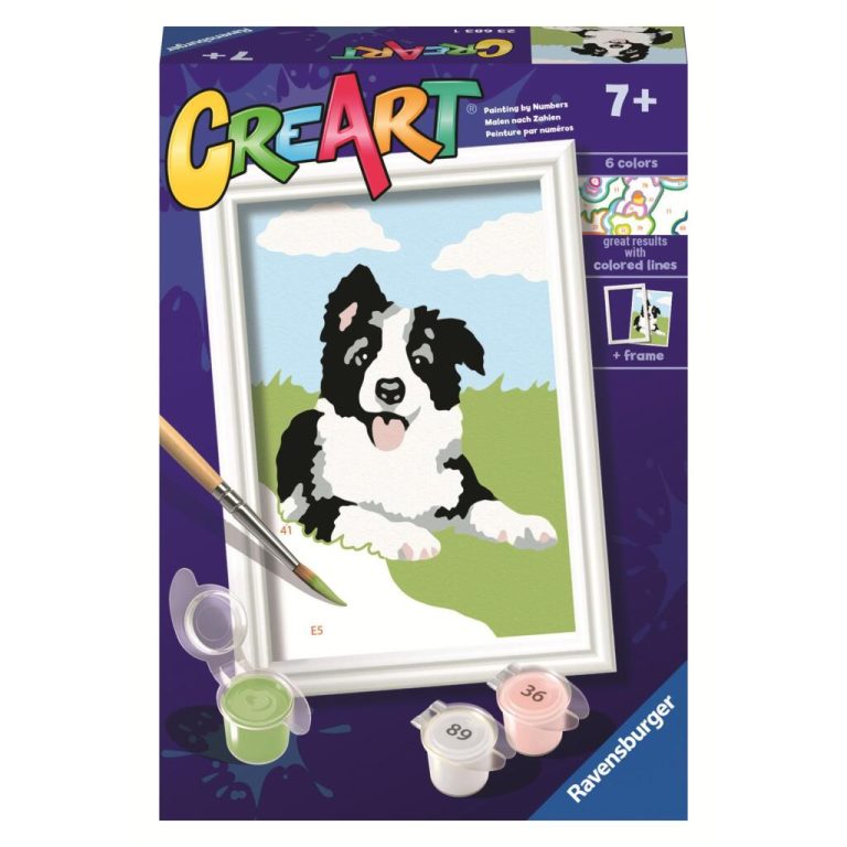 Ravensburger CreArt Schilderen op Nummer Border Collie | Kopen bij Flickmyhouse
