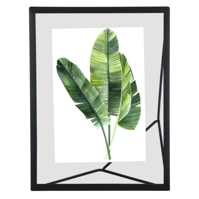 Hama Portretlijst Baltimore Zwart 10 X 15 Cm | Kopen bij Flickmyhouse