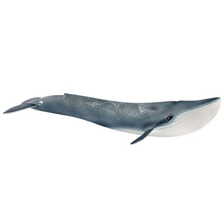 Schleich Blauwe Walvis | Kopen bij Flickmyhouse