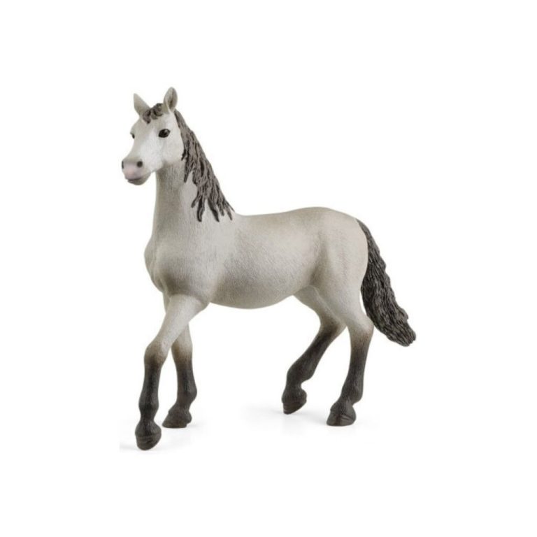 Schleich Pura Raza Veulen | Kopen bij Flickmyhouse