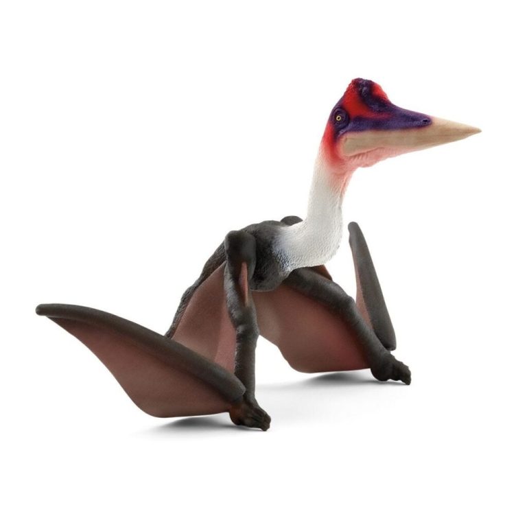 Schleich Quetzalcoatlus | Kopen bij Flickmyhouse
