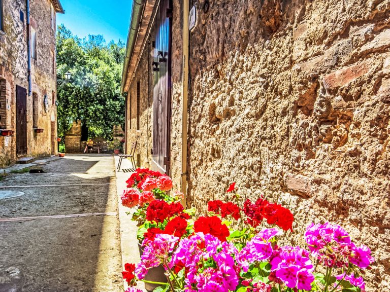 Il Cardo | Boeken bij Flickmyhouse