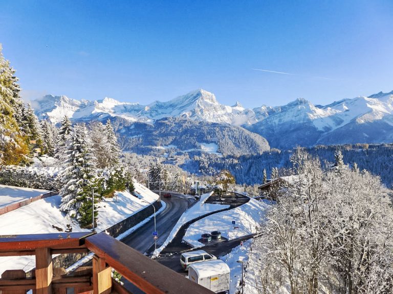 Le Bristol C54 | Boeken bij Flickmyhouse