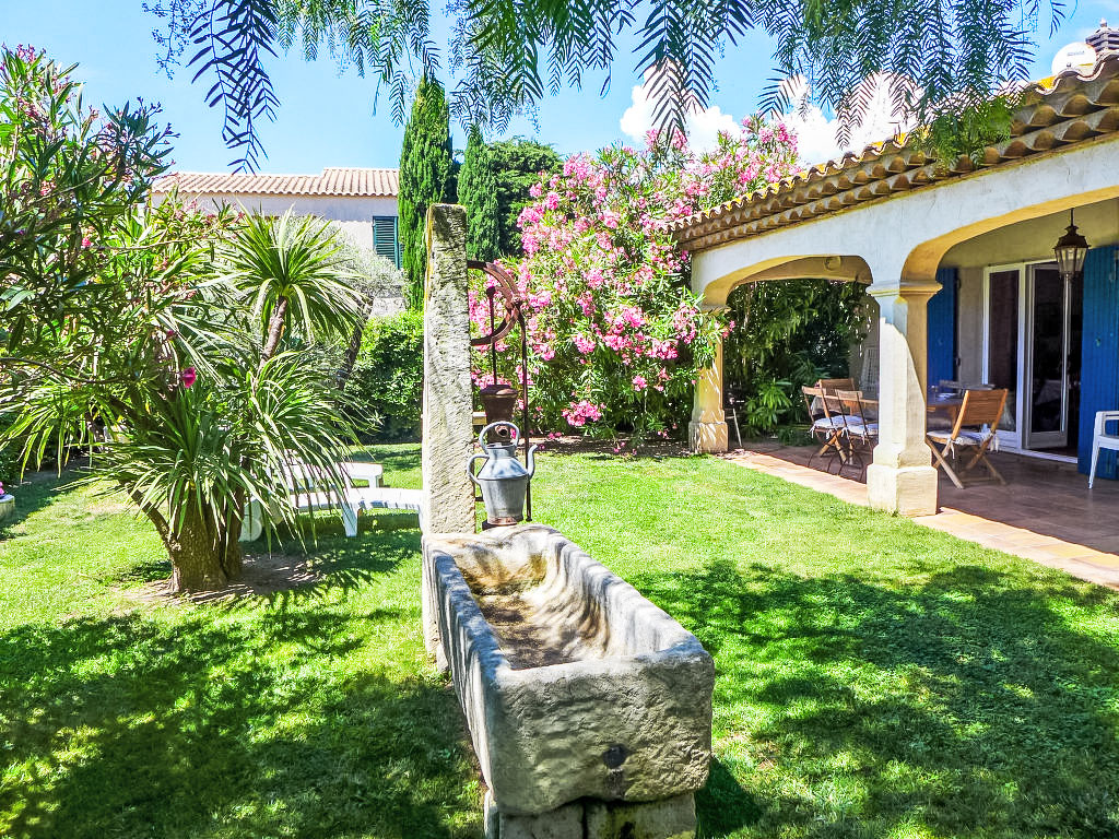 Le Petit Olivier | Boeken bij Flickmyhouse