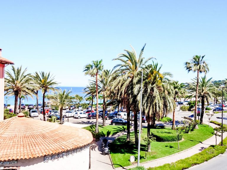 Les allées du Cap | Boeken bij Flickmyhouse