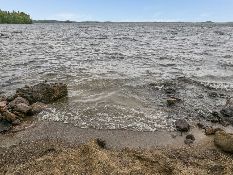 Hirsiniemi | Boeken bij Flickmyhouse