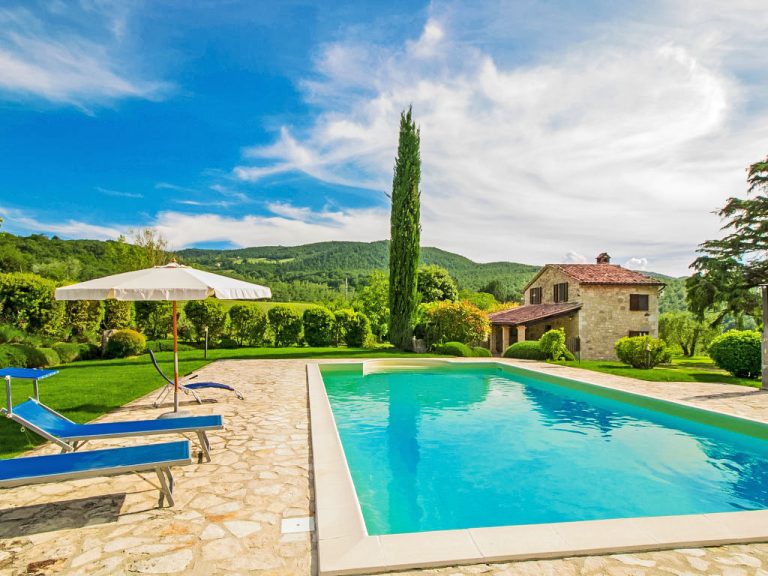 Sunflower | Boeken bij Flickmyhouse