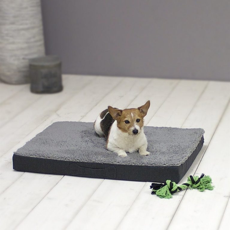 Sun Garden Buddy Orthopedisch Hondenkussen 79x60x8cm Grijs/Antraciet | Kopen bij Flickmyhouse