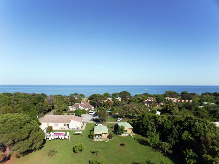 Typ A2 | Boeken bij Flickmyhouse