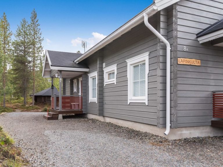 Päivänsäde 8 lapinkulta | Boeken bij Flickmyhouse