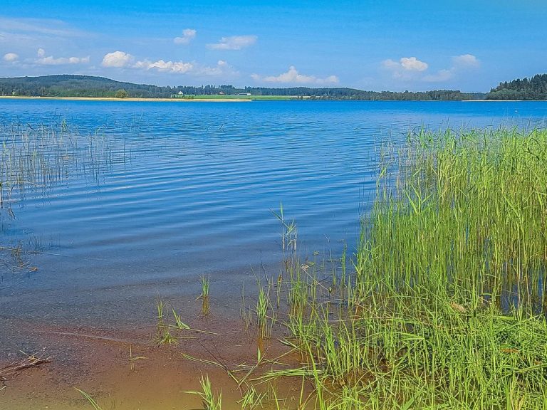 Pikku-puntila | Boeken bij Flickmyhouse