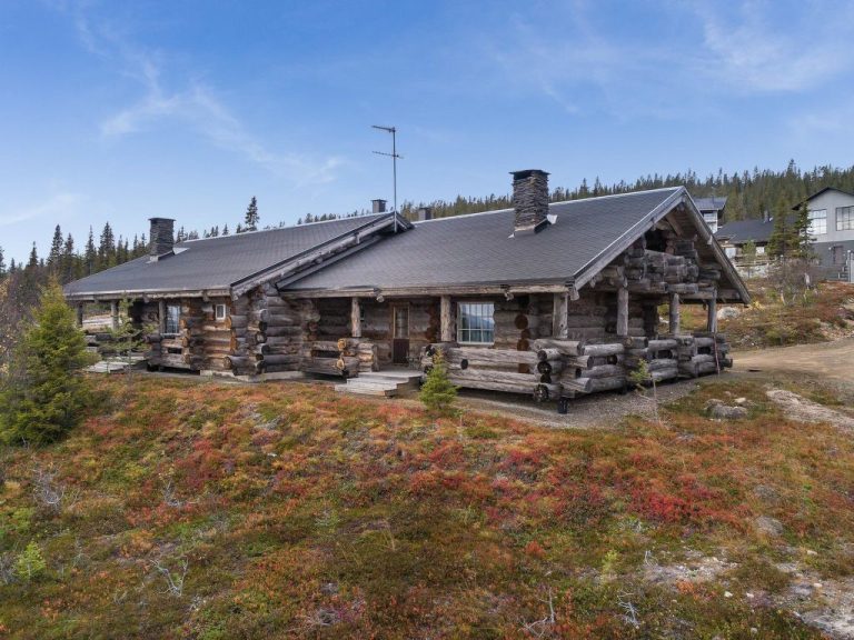 Kaamosgammi | Boeken bij Flickmyhouse