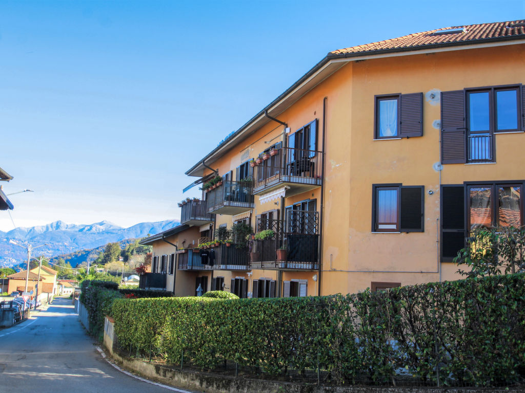 Magnolia | Boeken bij Flickmyhouse