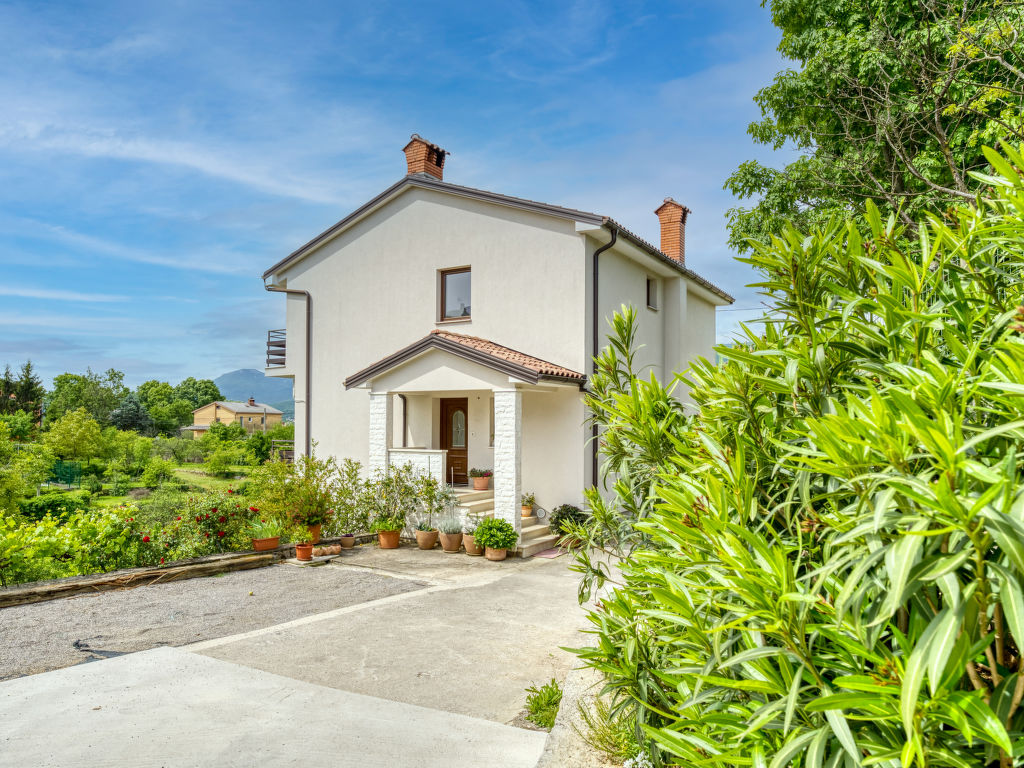 Ani | Boeken bij Flickmyhouse