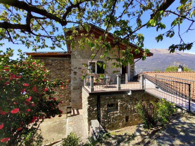 Dado | Boeken bij Flickmyhouse