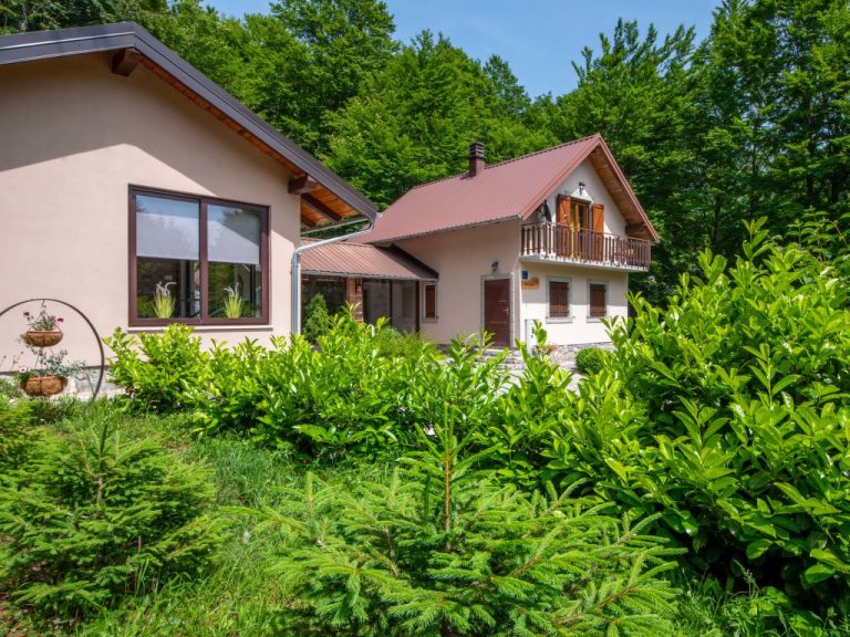 Bazak | Boeken bij Flickmyhouse