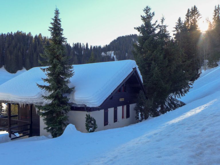 Le Cyclamen | Boeken bij Flickmyhouse