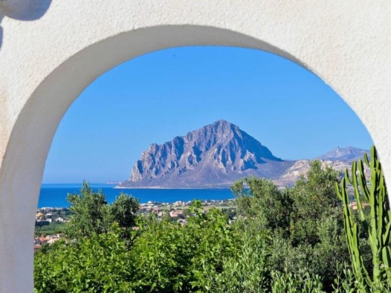 Le Palme | Boeken bij Flickmyhouse