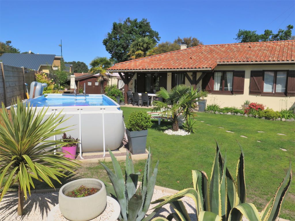 Les Camélias | Boeken bij Flickmyhouse