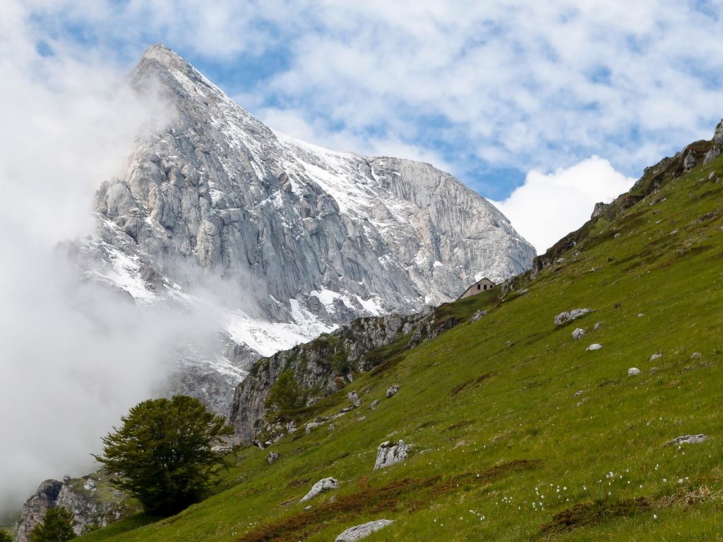 La Collina | Boeken bij Flickmyhouse