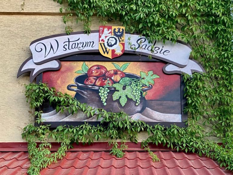 W Starym Sadzie | Boeken bij Flickmyhouse