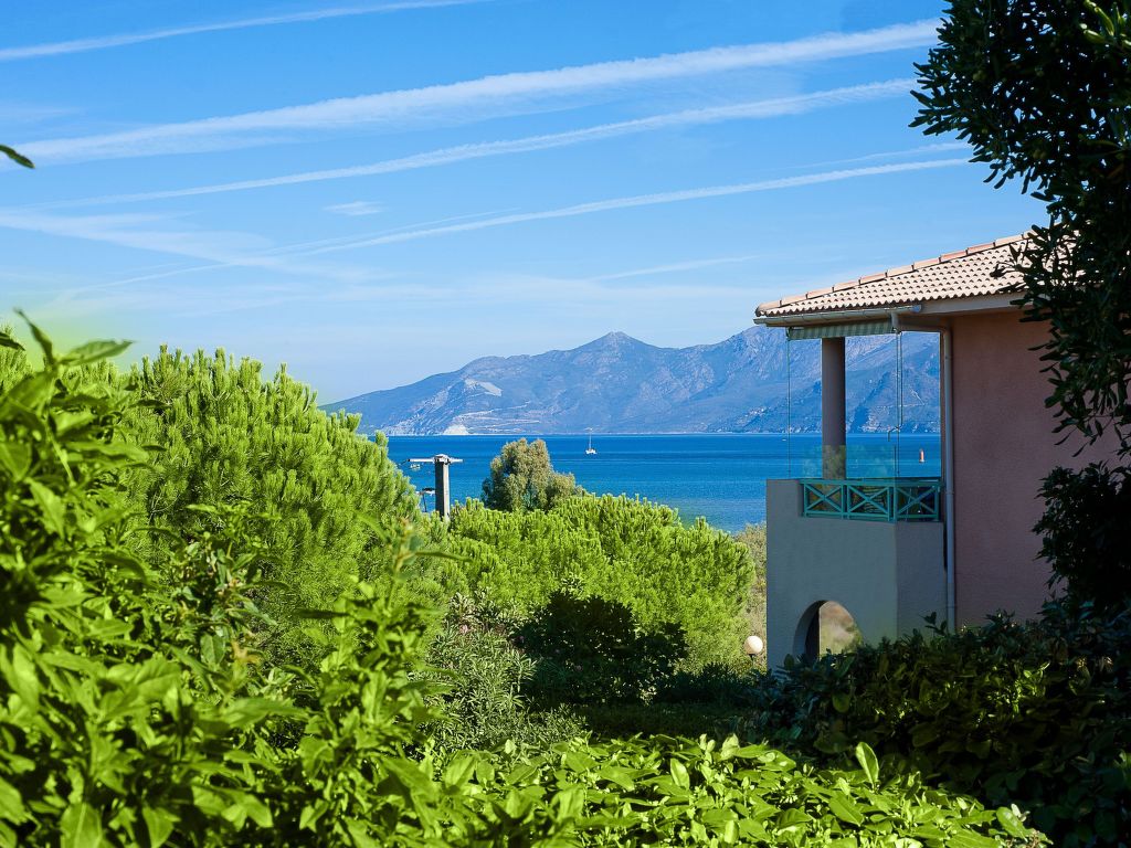 Suarella | Boeken bij Flickmyhouse