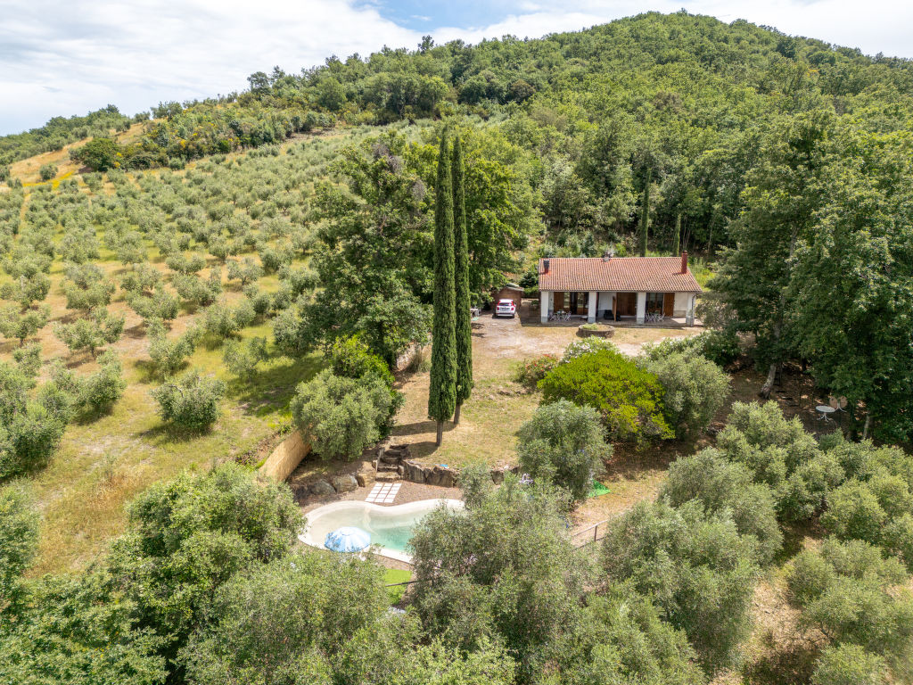 Pescine 2 | Boeken bij Flickmyhouse