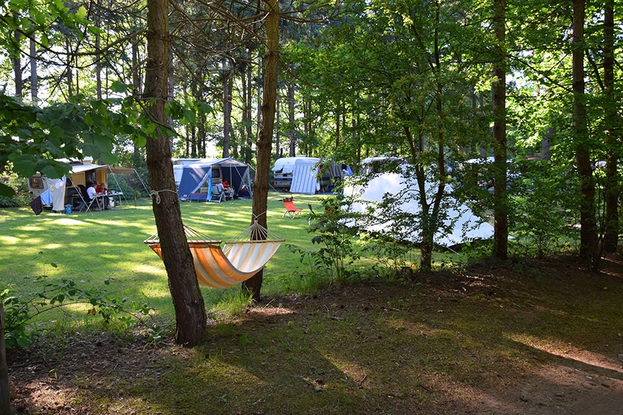 Camping Het Horstmannsbos | Reserveren bij Flickmyhouse