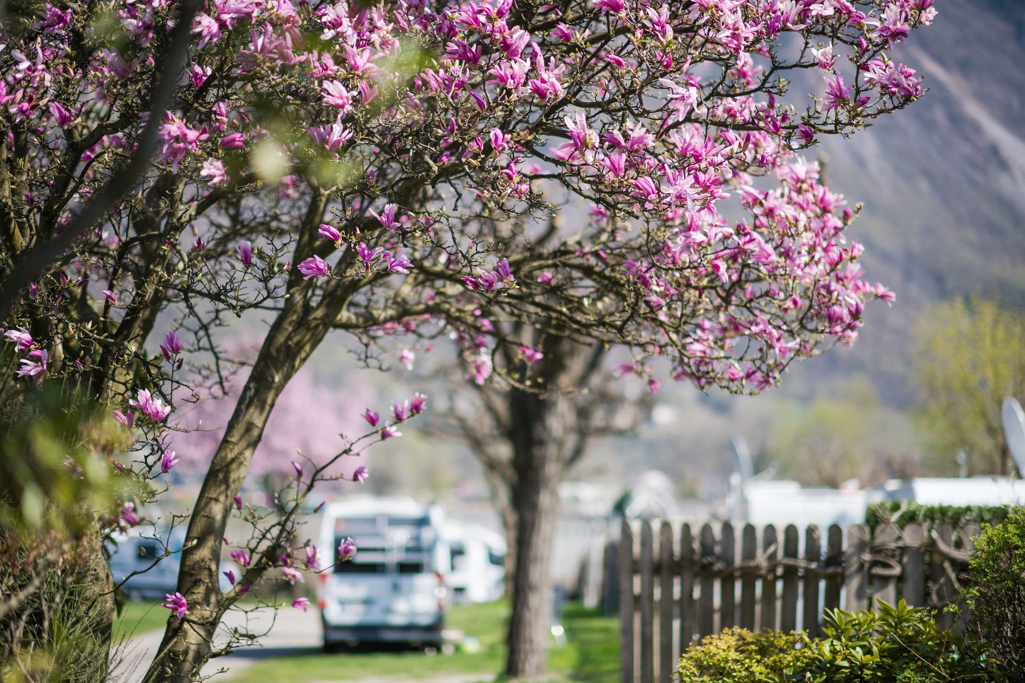 Camping Arquin | Reserveren bij Flickmyhouse