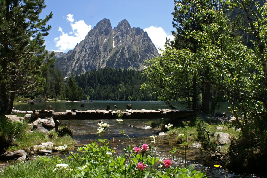 Camping Voraparc | Reserveren bij Flickmyhouse