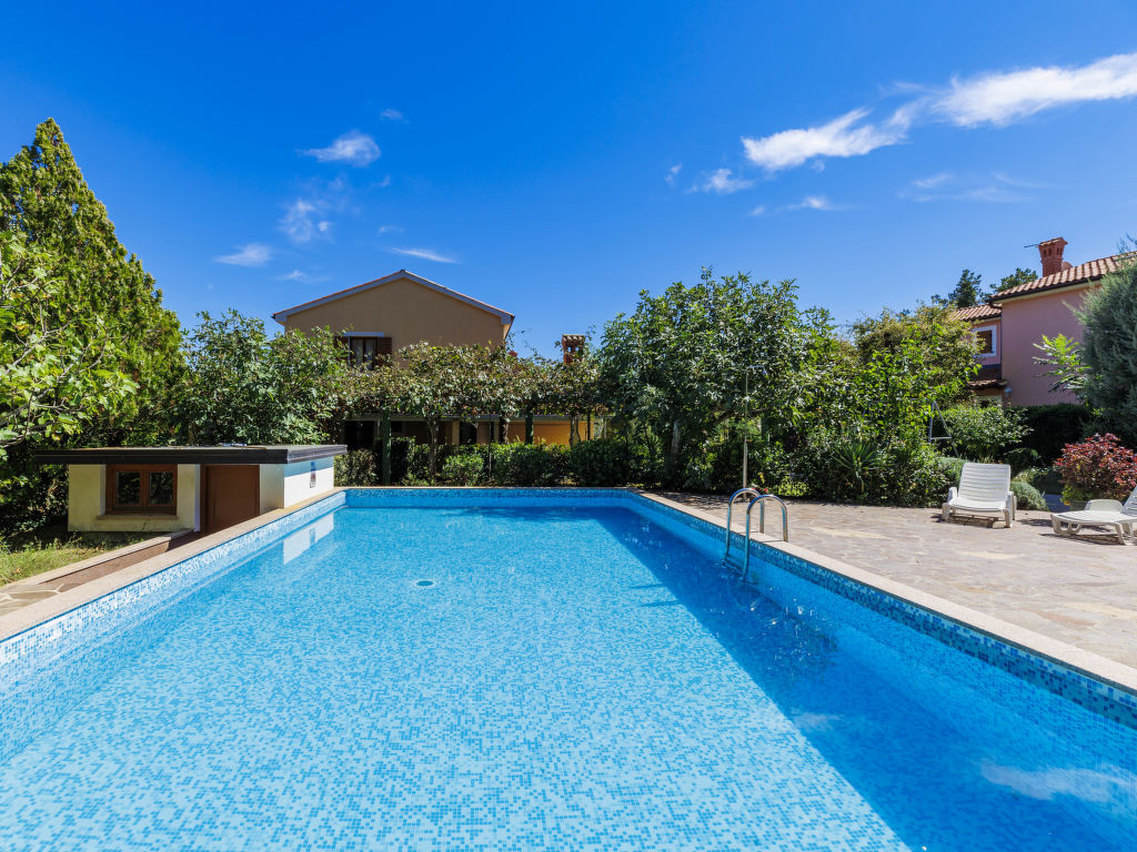 Edi | Boeken bij Flickmyhouse