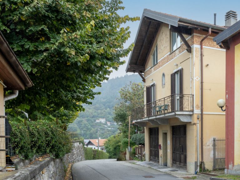 Adele | Boeken bij Flickmyhouse