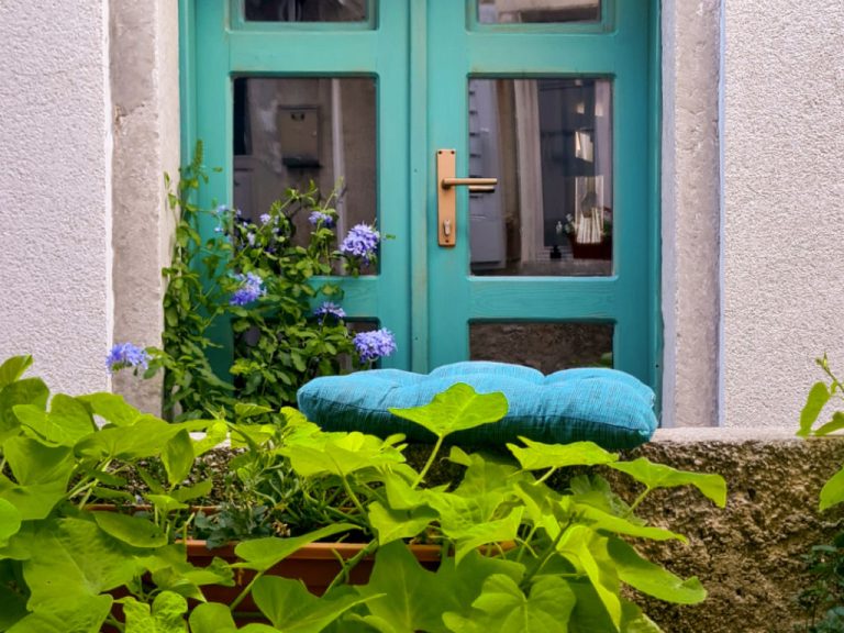 Amorino | Boeken bij Flickmyhouse