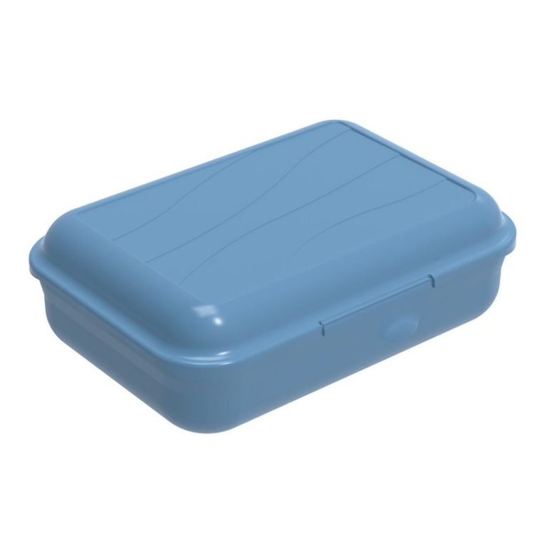 Rotho Fun Lunchbox met Verdeelschotje 0.9L Horizon Blauw | Kopen bij Flickmyhouse